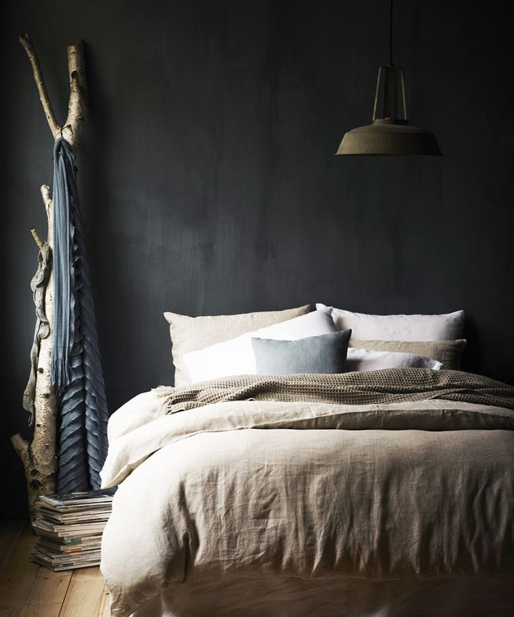 Slaapkamers met donkere muur