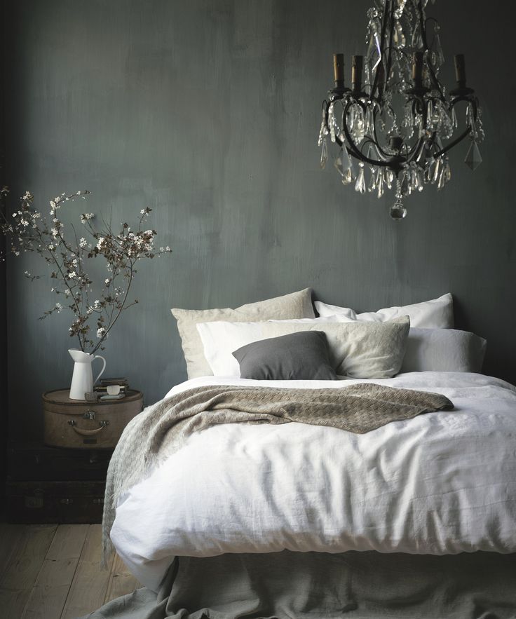 Slaapkamers met donkere muur