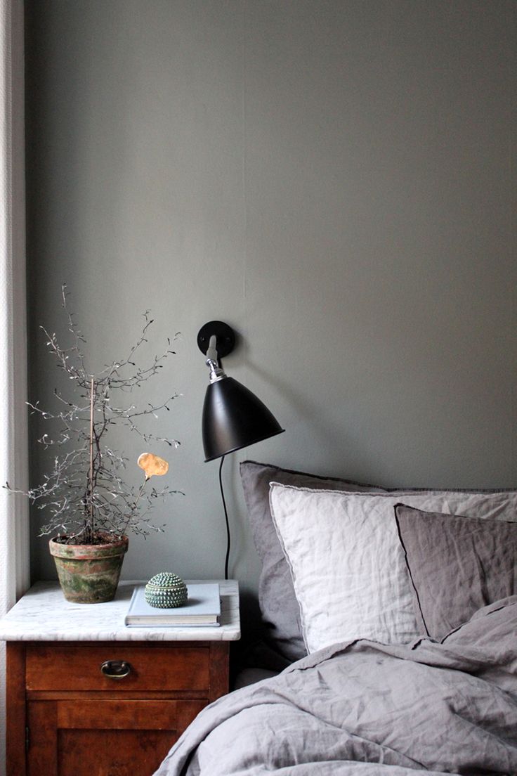 Slaapkamers met donkere muur