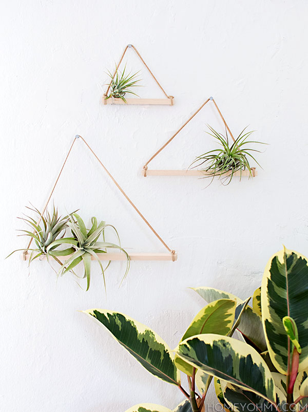 DIY plant hangers